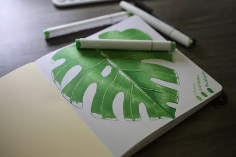 A coloring notebook resting with a green leaf